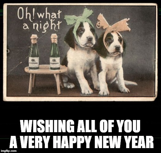 2019, here we come | WISHING ALL OF YOU A VERY HAPPY NEW YEAR | image tagged in new years,dogs | made w/ Imgflip meme maker