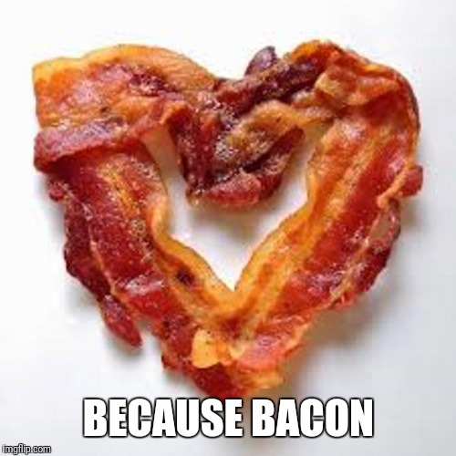 bacon | BECAUSE BACON | image tagged in bacon | made w/ Imgflip meme maker