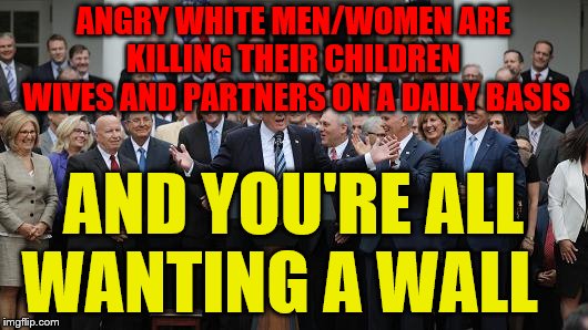 GOP Healthcare celebration 2 | ANGRY WHITE MEN/WOMEN ARE KILLING THEIR CHILDREN  WIVES AND PARTNERS ON A DAILY BASIS; AND YOU'RE ALL WANTING A WALL | image tagged in gop healthcare celebration 2 | made w/ Imgflip meme maker