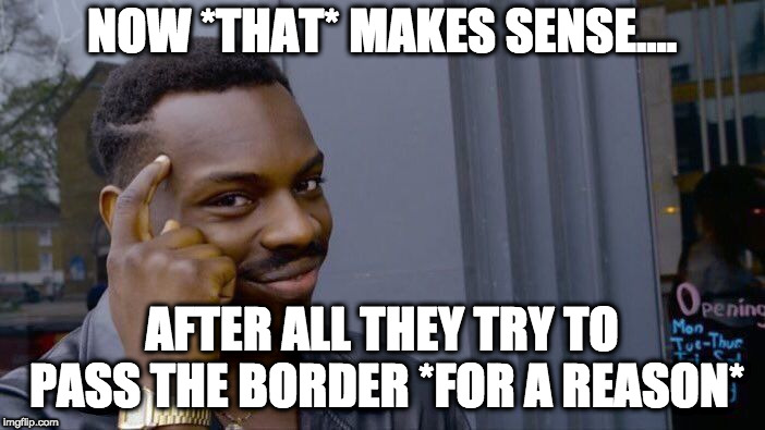 Roll Safe Think About It Meme | NOW *THAT* MAKES SENSE.... AFTER ALL THEY TRY TO PASS THE BORDER *FOR A REASON* | image tagged in memes,roll safe think about it | made w/ Imgflip meme maker