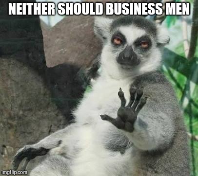 No thanks lemur | NEITHER SHOULD BUSINESS MEN | image tagged in no thanks lemur | made w/ Imgflip meme maker