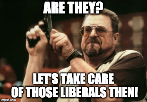 Am I The Only One Around Here Meme | ARE THEY? LET'S TAKE CARE OF THOSE LIBERALS THEN! | image tagged in memes,am i the only one around here | made w/ Imgflip meme maker