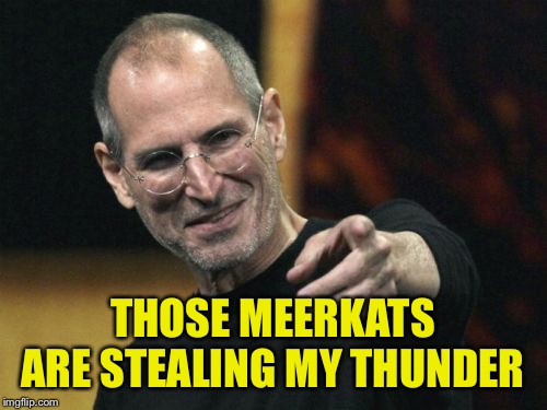 Steve Jobs Meme | THOSE MEERKATS ARE STEALING MY THUNDER | image tagged in memes,steve jobs | made w/ Imgflip meme maker