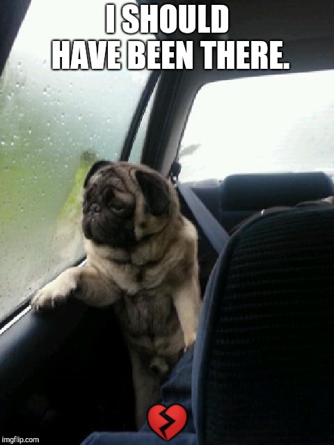 Introspective Pug | I SHOULD HAVE BEEN THERE.  | image tagged in introspective pug | made w/ Imgflip meme maker