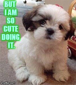 BUT I AM SO CUTE DOING  IT. | made w/ Imgflip meme maker