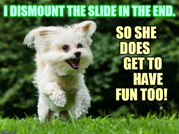 I DISMOUNT THE SLIDE IN THE END. SO SHE   DOES        GET TO        HAVE   FUN TOO! | made w/ Imgflip meme maker