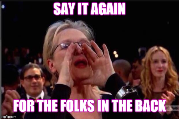 meryl streep | SAY IT AGAIN; FOR THE FOLKS IN THE BACK | image tagged in meryl streep | made w/ Imgflip meme maker