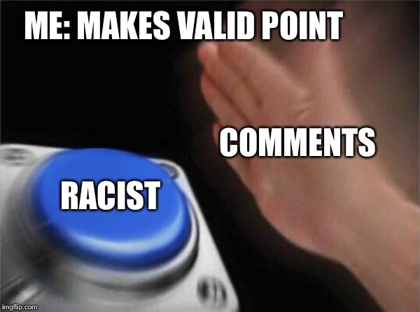 Blank Nut Button Meme | ME: MAKES VALID POINT RACIST COMMENTS | image tagged in memes,blank nut button | made w/ Imgflip meme maker
