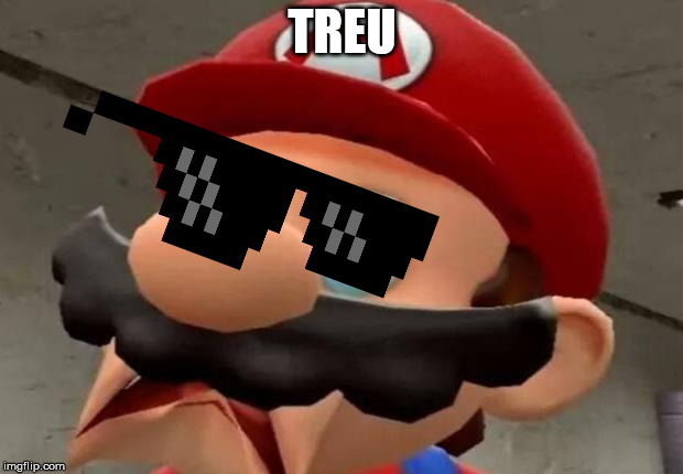 Mario WTF | TREU | image tagged in mario wtf | made w/ Imgflip meme maker