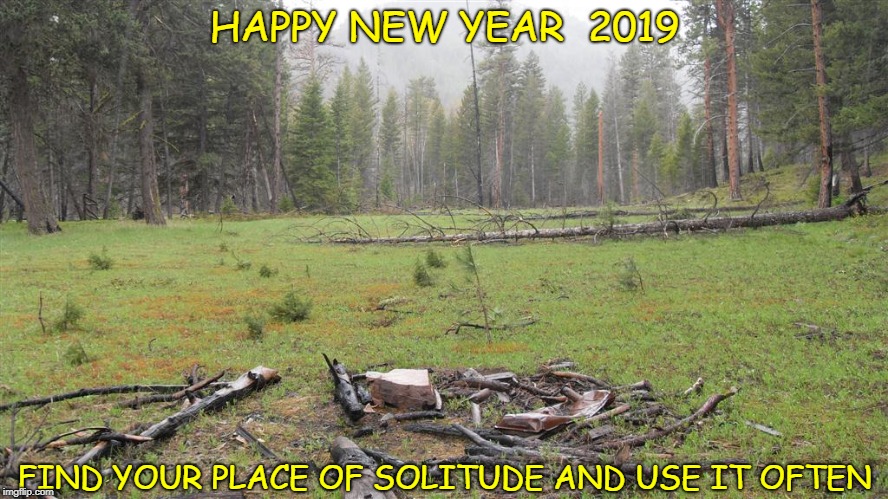 HAPPY NEW YEAR  2019; FIND YOUR PLACE OF SOLITUDE AND USE IT OFTEN | image tagged in happy new year | made w/ Imgflip meme maker