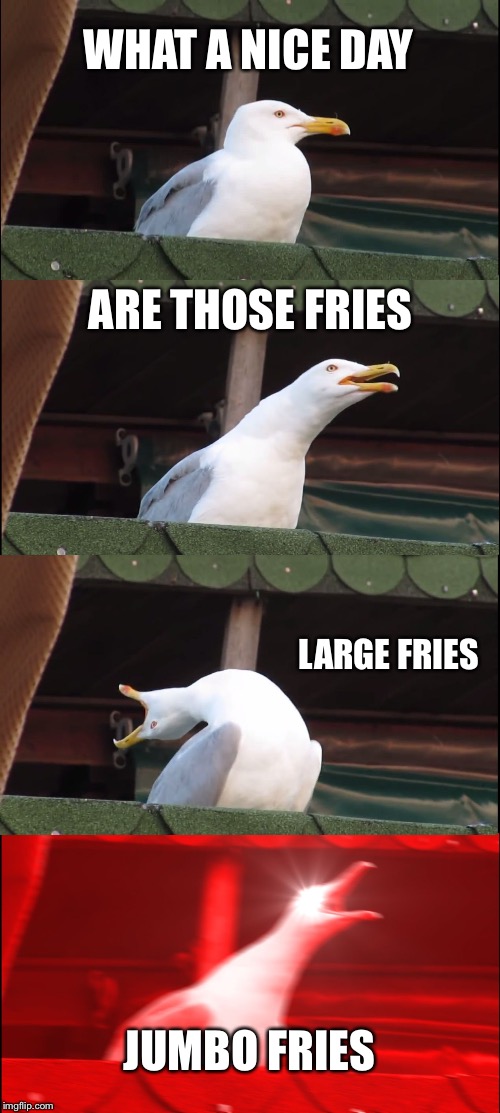 Inhaling Seagull | WHAT A NICE DAY; ARE THOSE FRIES; LARGE FRIES; JUMBO FRIES | image tagged in memes,inhaling seagull | made w/ Imgflip meme maker