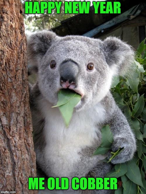 Surprised Koala Meme | HAPPY NEW YEAR ME OLD COBBER | image tagged in memes,surprised koala | made w/ Imgflip meme maker