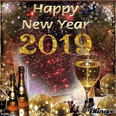 happy new year 2019 | image tagged in happy new year 2019 from canada,meme,memes | made w/ Imgflip meme maker