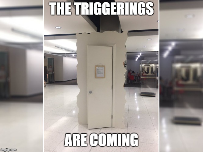 THE TRIGGERINGS ARE COMING | made w/ Imgflip meme maker