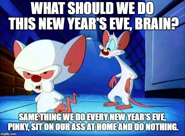 Pinky & Brain | WHAT SHOULD WE DO THIS NEW YEAR'S EVE, BRAIN? SAME THING WE DO EVERY NEW YEAR'S EVE, PINKY, SIT ON OUR ASS AT HOME AND DO NOTHING. | image tagged in pinky  brain | made w/ Imgflip meme maker