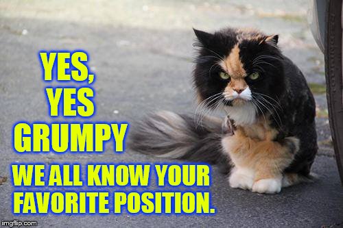YES, YES GRUMPY WE ALL KNOW YOUR FAVORITE POSITION. | made w/ Imgflip meme maker