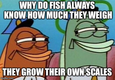 spongebob cop fish | WHY DO FISH ALWAYS KNOW HOW MUCH THEY WEIGH; THEY GROW THEIR OWN SCALES | image tagged in spongebob cop fish | made w/ Imgflip meme maker