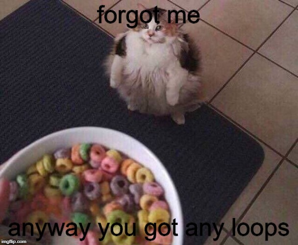 Fruit Loops | forgot me anyway you got any loops | image tagged in fruit loops | made w/ Imgflip meme maker