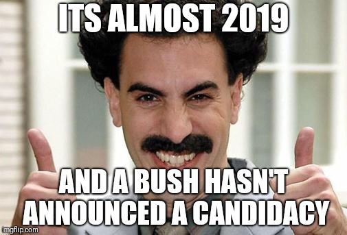 Great Success  | ITS ALMOST 2019; AND A BUSH HASN'T ANNOUNCED A CANDIDACY | image tagged in great success | made w/ Imgflip meme maker