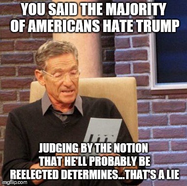 Maury Lie Detector | YOU SAID THE MAJORITY OF AMERICANS HATE TRUMP; JUDGING BY THE NOTION THAT HE'LL PROBABLY BE REELECTED DETERMINES...THAT'S A LIE | image tagged in memes,maury lie detector | made w/ Imgflip meme maker