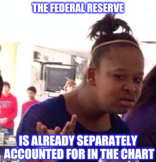 Black Girl Wat Meme | THE FEDERAL RESERVE IS ALREADY SEPARATELY ACCOUNTED FOR IN THE CHART | image tagged in memes,black girl wat | made w/ Imgflip meme maker