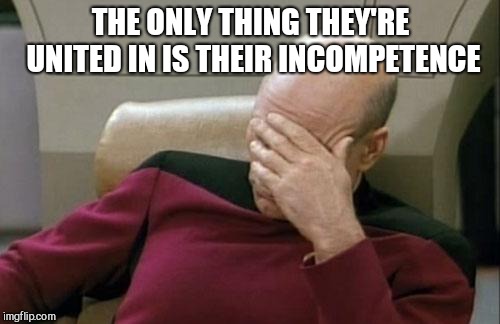 Captain Picard Facepalm Meme | THE ONLY THING THEY'RE UNITED IN IS THEIR INCOMPETENCE | image tagged in memes,captain picard facepalm | made w/ Imgflip meme maker