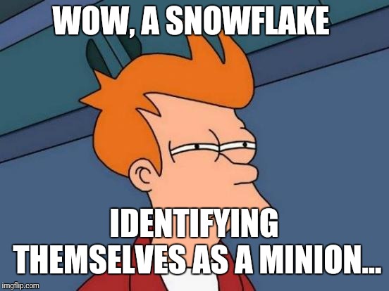 Futurama Fry Meme | WOW, A SNOWFLAKE; IDENTIFYING THEMSELVES AS A MINION... | image tagged in memes,futurama fry | made w/ Imgflip meme maker