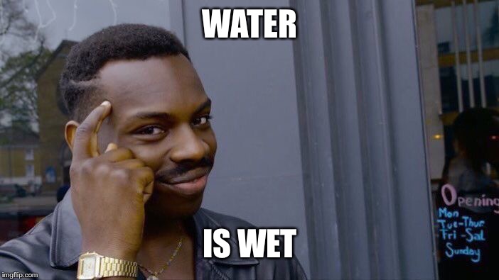 Roll Safe Think About It Meme | WATER; IS WET | image tagged in memes,roll safe think about it | made w/ Imgflip meme maker