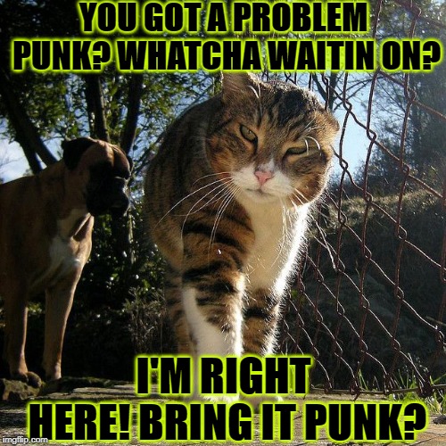 YOU GOT A PROBLEM PUNK? WHATCHA WAITIN ON? I'M RIGHT HERE! BRING IT PUNK? | image tagged in bring it | made w/ Imgflip meme maker
