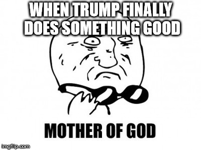 Mother Of God |  WHEN TRUMP FINALLY DOES SOMETHING GOOD | image tagged in memes,mother of god | made w/ Imgflip meme maker