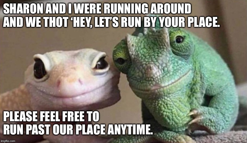 SHARON AND I WERE RUNNING AROUND AND WE THOT ‘HEY, LET’S RUN BY YOUR PLACE. PLEASE FEEL FREE TO RUN PAST OUR PLACE ANYTIME. | made w/ Imgflip meme maker