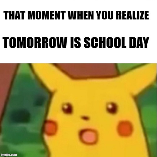 Surprised Pikachu | THAT MOMENT WHEN YOU REALIZE; TOMORROW IS SCHOOL DAY | image tagged in memes,surprised pikachu | made w/ Imgflip meme maker