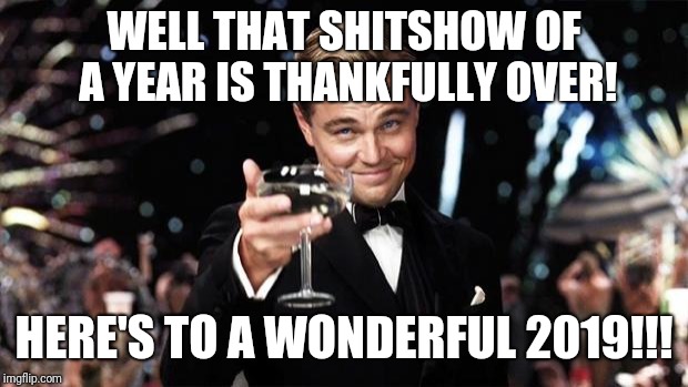 Gatsby toast  | WELL THAT SHITSHOW OF A YEAR IS THANKFULLY OVER! HERE'S TO A WONDERFUL 2019!!! | image tagged in gatsby toast | made w/ Imgflip meme maker