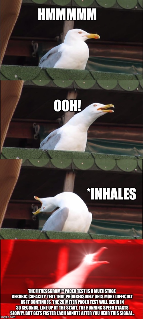 Inhaling Seagull Meme | HMMMMM; OOH! *INHALES; THE FITNESSGRAM™ PACER TEST IS A MULTISTAGE AEROBIC CAPACITY TEST THAT PROGRESSIVELY GETS MORE DIFFICULT AS IT CONTINUES. THE 20 METER PACER TEST WILL BEGIN IN 30 SECONDS. LINE UP AT THE START. THE RUNNING SPEED STARTS SLOWLY, BUT GETS FASTER EACH MINUTE AFTER YOU HEAR THIS SIGNAL.. | image tagged in memes,inhaling seagull | made w/ Imgflip meme maker