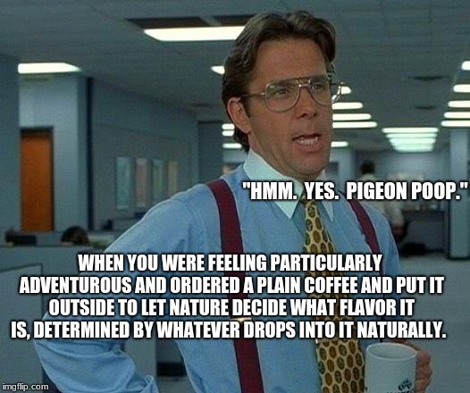 That Would Be Great | "HMM.  YES.  PIGEON POOP."; WHEN YOU WERE FEELING PARTICULARLY ADVENTUROUS AND ORDERED A PLAIN COFFEE AND PUT IT OUTSIDE TO LET NATURE DECIDE WHAT FLAVOR IT IS, DETERMINED BY WHATEVER DROPS INTO IT NATURALLY. | image tagged in memes,that would be great | made w/ Imgflip meme maker