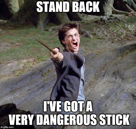 Harry potter | STAND BACK; I'VE GOT A VERY DANGEROUS STICK | image tagged in harry potter | made w/ Imgflip meme maker