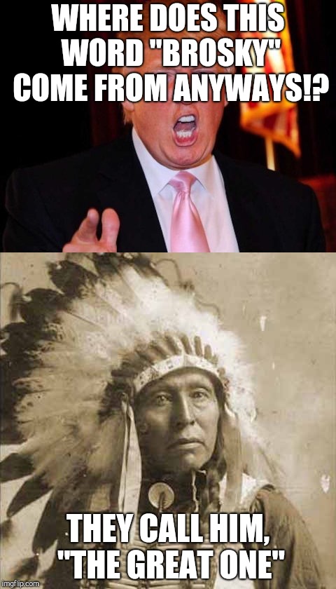 Donald Trump and Native American | WHERE DOES THIS WORD "BROSKY" COME FROM ANYWAYS!? THEY CALL HIM, "THE GREAT ONE" | image tagged in donald trump and native american | made w/ Imgflip meme maker