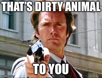 Dirty harry | THAT’S DIRTY ANIMAL TO YOU | image tagged in dirty harry | made w/ Imgflip meme maker