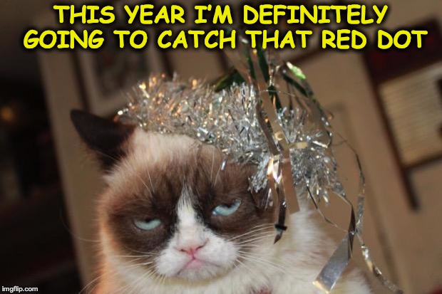 New Year’s Resolution | THIS YEAR I’M DEFINITELY GOING TO CATCH THAT RED DOT | image tagged in grumpy cat new years,new year resolutions | made w/ Imgflip meme maker