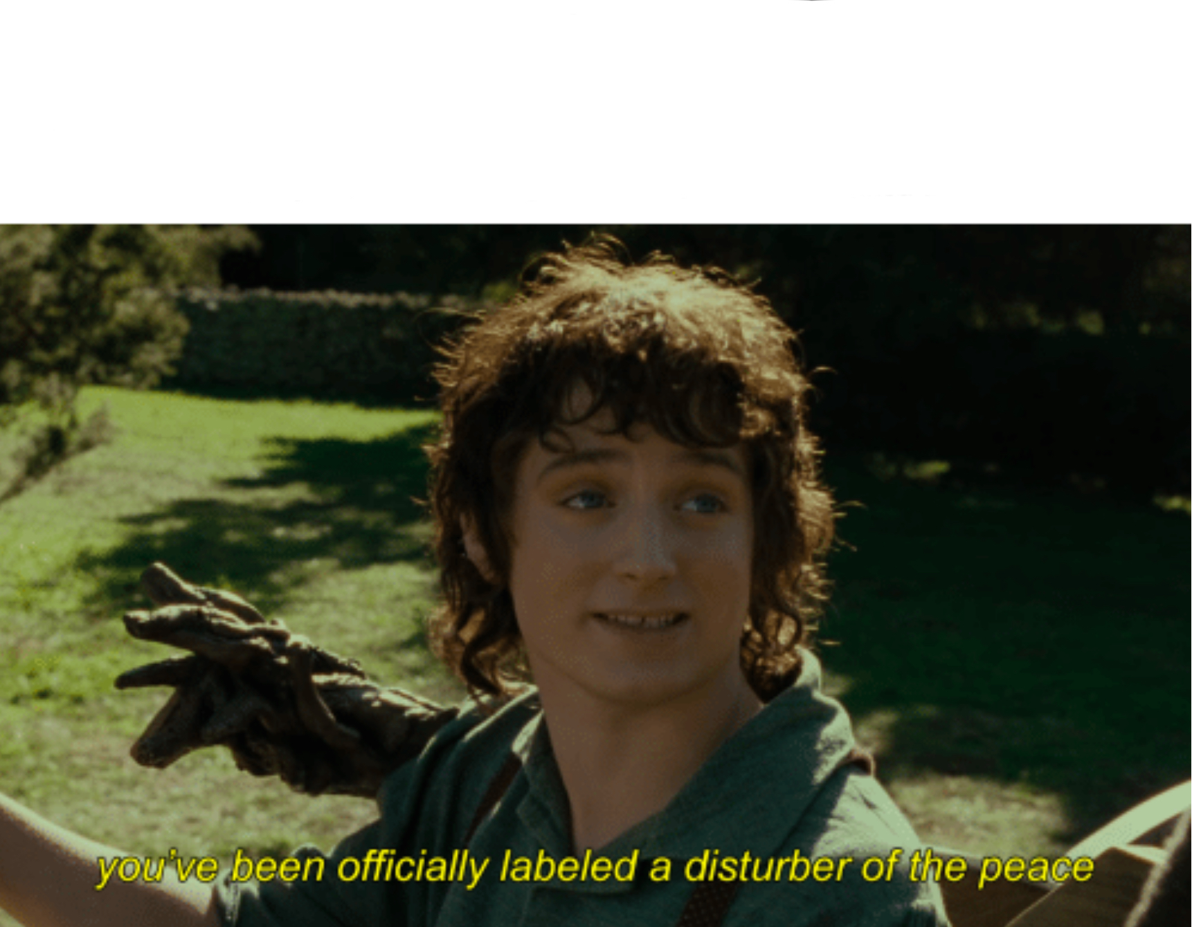 High Quality Frodo Disturber of the Peace Blank Meme Template