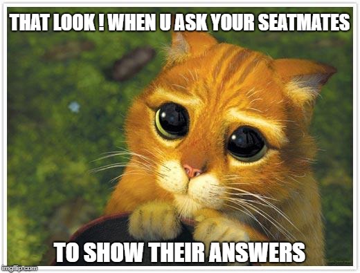 Shrek Cat Meme | THAT LOOK ! WHEN U ASK YOUR SEATMATES; TO SHOW THEIR ANSWERS | image tagged in memes,shrek cat | made w/ Imgflip meme maker