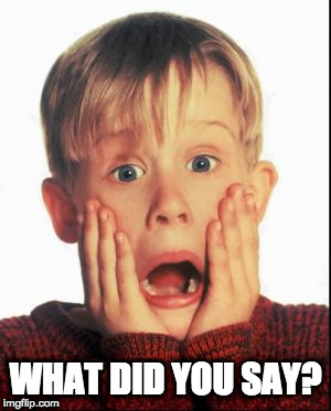 Home Alone Kid  | WHAT DID YOU SAY? | image tagged in home alone kid | made w/ Imgflip meme maker
