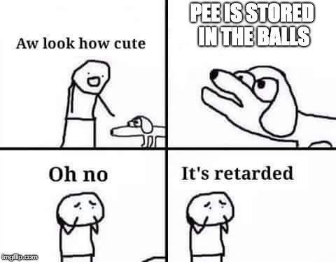 Oh no its retarded | PEE IS STORED IN THE BALLS | image tagged in oh no its retarded | made w/ Imgflip meme maker