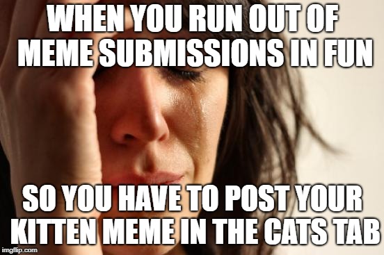 First World Problems Meme | WHEN YOU RUN OUT OF MEME SUBMISSIONS IN FUN; SO YOU HAVE TO POST YOUR KITTEN MEME IN THE CATS TAB | image tagged in memes,first world problems | made w/ Imgflip meme maker