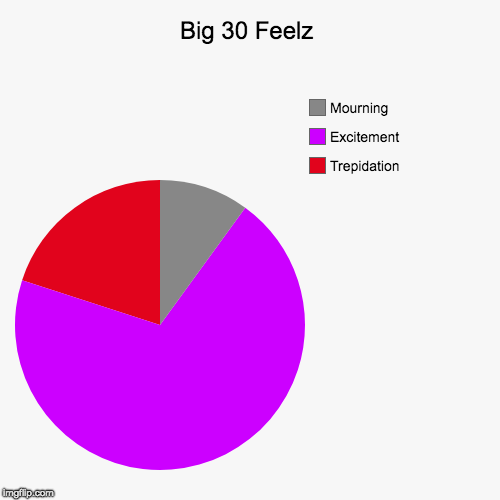 Big 30 Feelz | Trepidation , Excitement , Mourning | image tagged in funny,pie charts | made w/ Imgflip chart maker