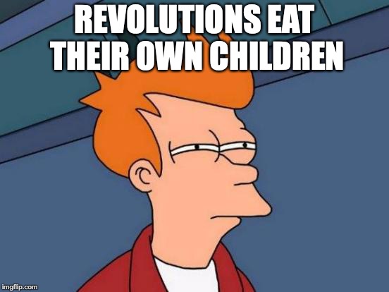 Futurama Fry Meme | REVOLUTIONS EAT THEIR OWN CHILDREN | image tagged in memes,futurama fry | made w/ Imgflip meme maker