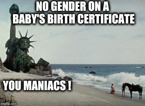 Another year , another stupid law |  NO GENDER ON A BABY'S BIRTH CERTIFICATE; YOU MANIACS ! | image tagged in charlton heston planet of the apes,gender identity,obvious,child abuse,stop it | made w/ Imgflip meme maker