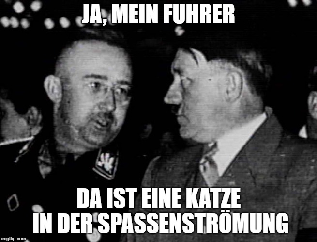 Grammar Nazis Himmler and Hitler | JA, MEIN FUHRER DA IST EINE KATZE IN DER SPASSENSTRÖMUNG | image tagged in grammar nazis himmler and hitler | made w/ Imgflip meme maker