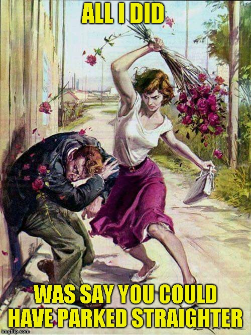 Beaten with Roses | ALL I DID WAS SAY YOU COULD HAVE PARKED STRAIGHTER | image tagged in beaten with roses | made w/ Imgflip meme maker
