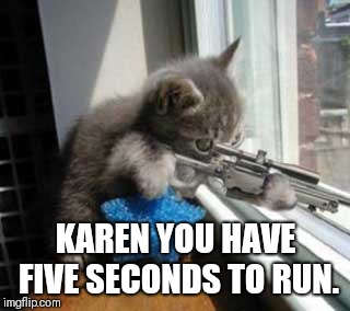 Gun cat  | KAREN YOU HAVE FIVE SECONDS TO RUN. | image tagged in gun cat | made w/ Imgflip meme maker